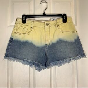 Pacsun High Rise Festival Shorts Size 28 Springtide